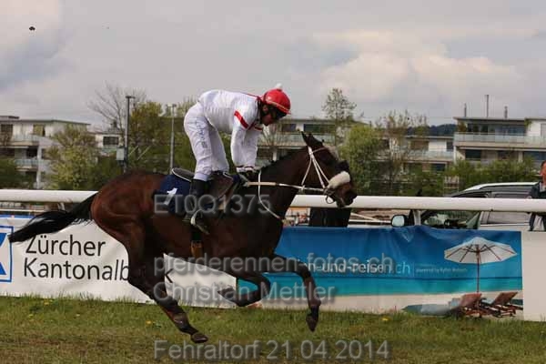 ET0Q1375 prot